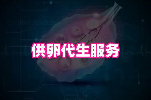 天津助孕网站 1
