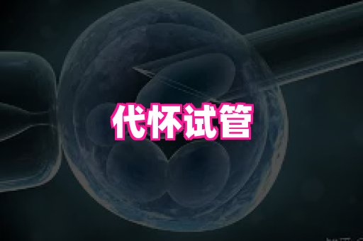 天津助孕网站 2