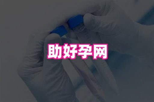 天津助孕网站 3