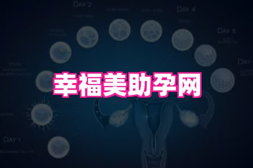 天津助孕网站 4